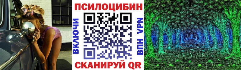 Псилоцибиновые грибы GOLDEN TEACHER  Можайск 